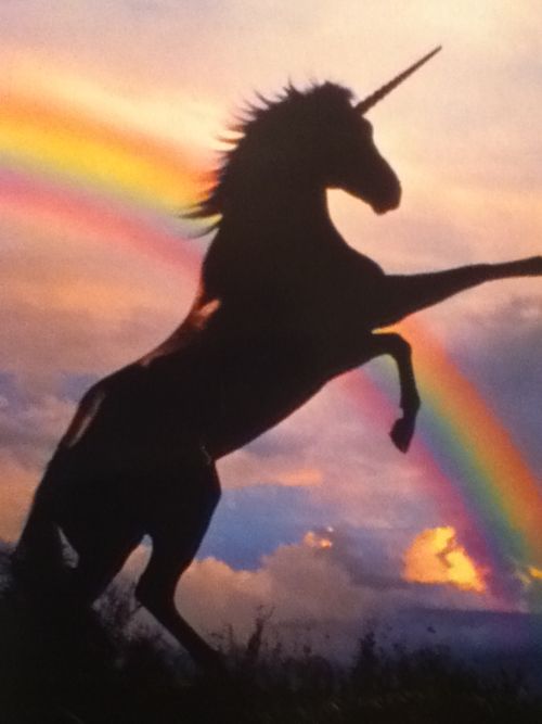 Unicorn and rainbows